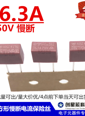 392方形慢断电流保险丝 250V T6.3A T6300mA 红色 电源保险管现货