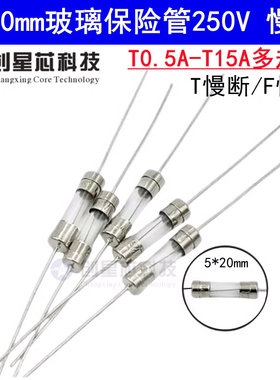玻璃保险管带引脚5*20MM