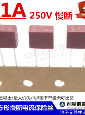 392方形慢断电流保险丝 250V T1A T1000mA 红色 电源保险管 现货
