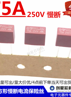392方形慢断电流保险丝 250V T5A T5000mA 红色 电源保险管 现货
