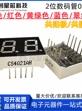 0.4英寸2位白色数码管二位白光 共阳/共阴CS4021AW/BW双位数码管