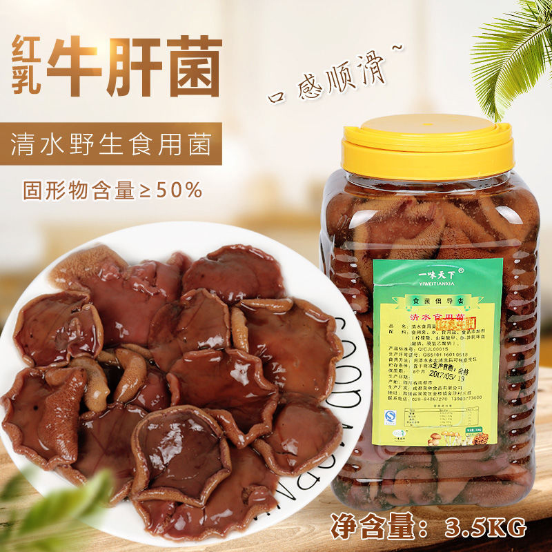 涮火锅盐渍清水红乳牛肝菌