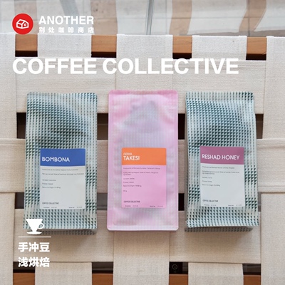 [7.20烘]国际豆-TCC Coffee Collective手冲精品咖啡takesi
