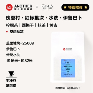 9折 别处咖啡新产季瑰夏村红标伊鲁巴卜盖里地块水洗咖啡豆009