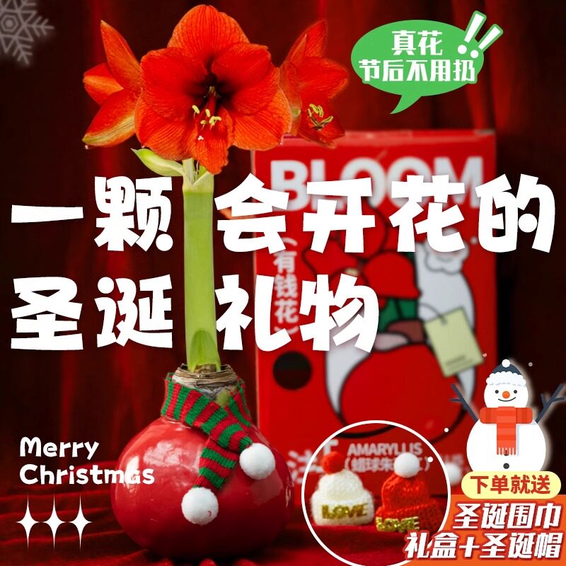 圣诞节限定礼物送女生男生朋友闺蜜创意装饰2024新款小礼品平安夜