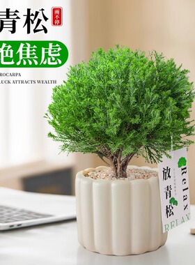 工位情绪稳定器雾放青松