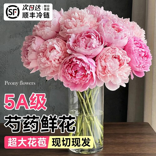 云南直发进口重瓣芍药花束