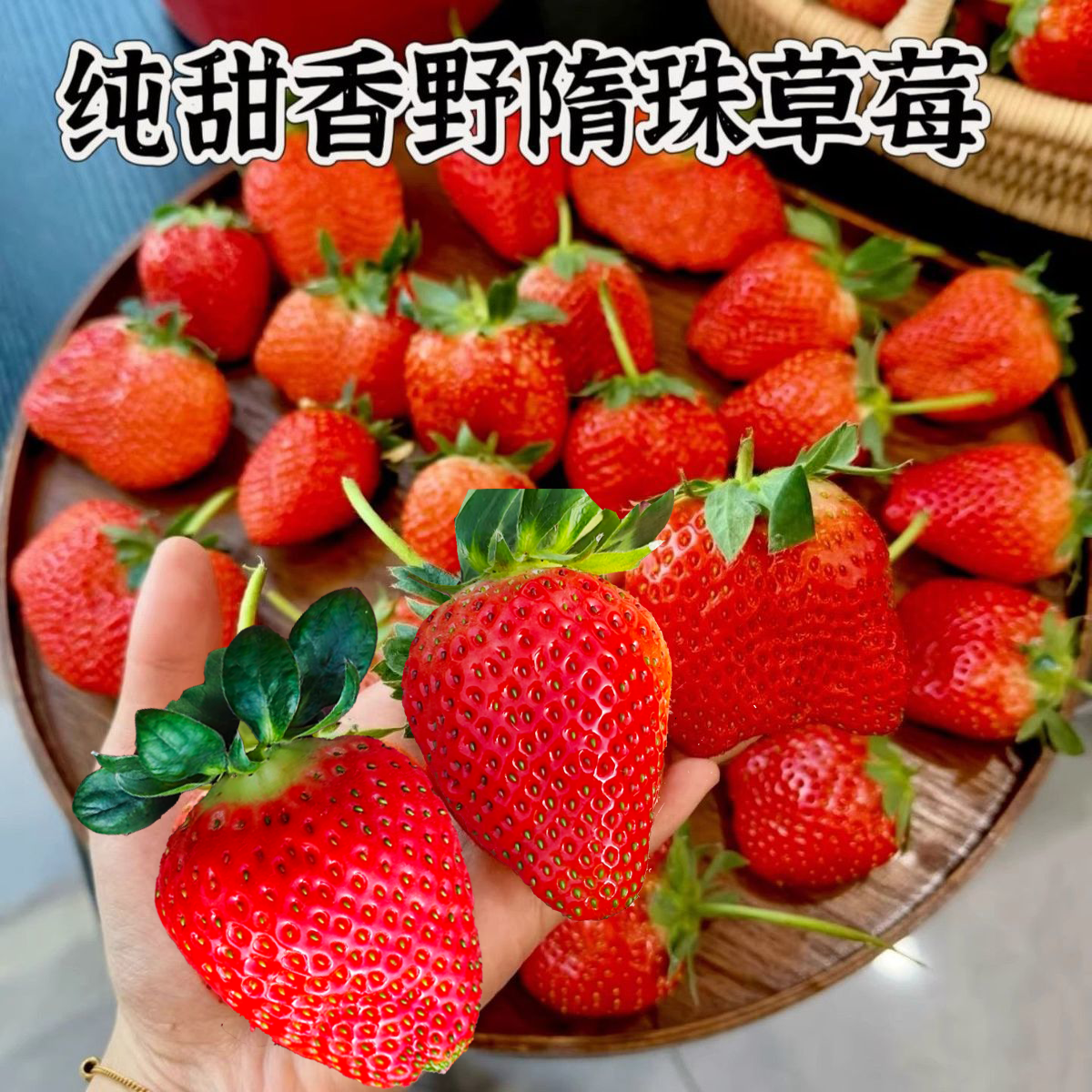 【顺丰包邮】山东正宗香野隋珠草莓新鲜水果当季现摘孕妇水果纯甜,水产肉类/新鲜蔬果/熟食,草莓,淘宝优惠券,粉丝福利购,淘宝优惠卷
