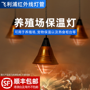 飞利浦养殖取暖加温保温灯泡150W 250W保温畜牧牲畜小鸡猪仔加热
