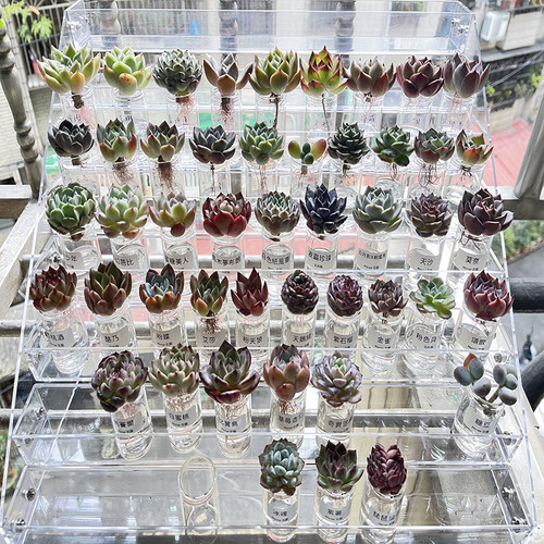 多肉收纳架盆栽展示架