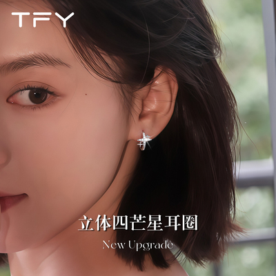 巨好看四芒星锆石耳钉女2025新款爆款高级感轻奢小众设计耳圈耳环