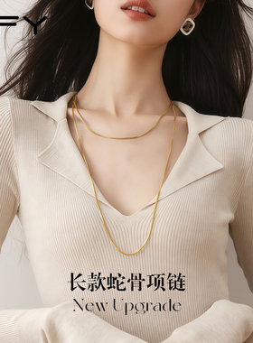 秋冬双层叠戴蛇骨项链长款毛衣配饰毛衣链素链轻奢高级感气质大气