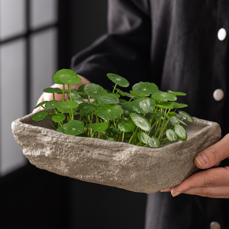 彷石头水培器皿长方形陶瓷花盆家用养铜钱草碗莲睡莲盆缸盆栽盆景