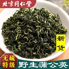 同仁堂野生蒲公英茶500g新鲜婆婆丁干草正品特级中药材浦公英叶根