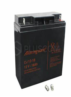 Alarmguard蓄电池 CJ12-18 12V 18AH 免维护铅酸电池