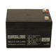 12V3.4AH 免维护可充电电池 EG3.4 EUROGLOBE蓄电池