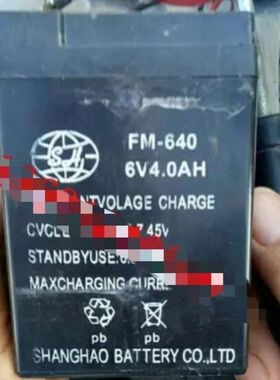 SH SHANGHAO FM-640 6V4.0AH电池玩具车童车小孩子电动车电子称