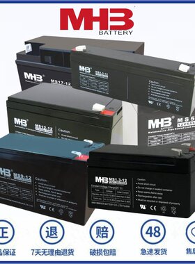 MHB蓄电池MS1.34.5-129-1218
