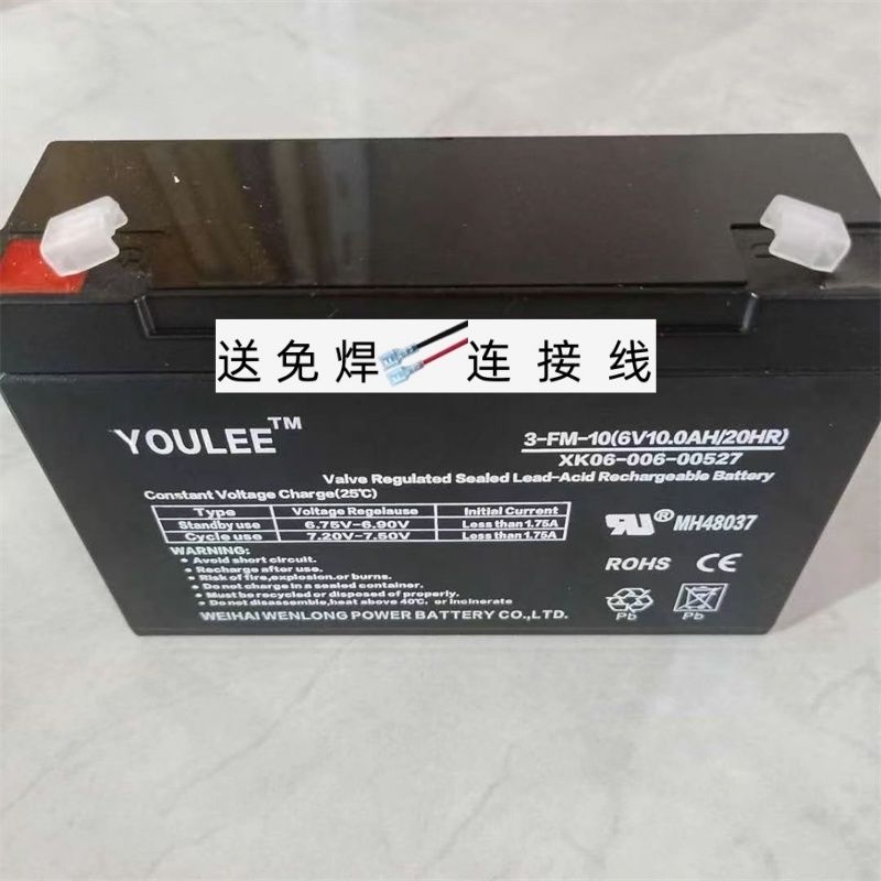 YOULEE蓄电池3-FM-10A6V10AH/