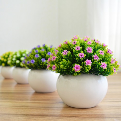 小盆栽家居摆设书桌仿真绿植新品