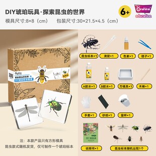 真实昆虫树脂标本琥珀真虫桌面摆件金龟子蝎子独角仙标本台饰