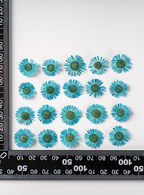 针菊 干花压花相框火漆贺卡书签团扇 手工扇子灯饰滴胶材料押XZ90