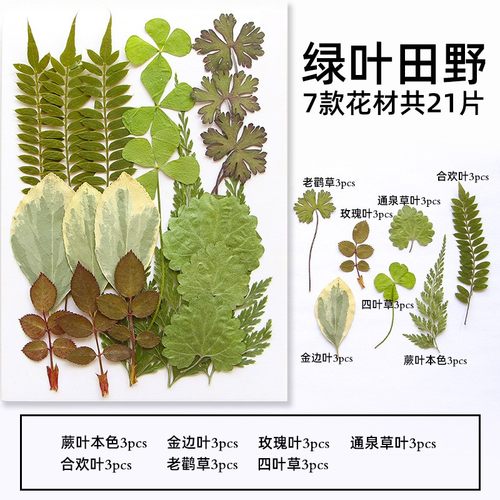 干花压花材料包押花书签真树叶植物标本滴胶手机壳贴脸妆手工XZ50