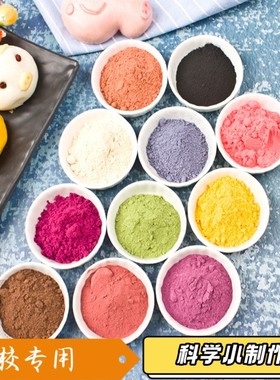 儿童色素10ml水溶性环保颜料橡皮泥史莱姆DIY手工皂着色剂染XZ87