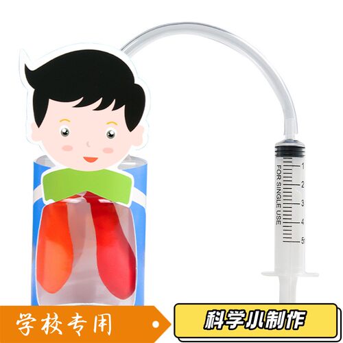 科学实验肺呼吸模型 小学生生物科学diy科技小制作发明STEM材S14