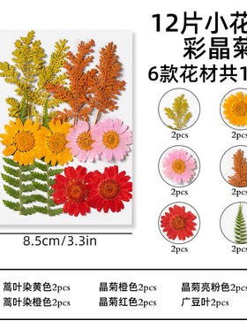 明信片复古ins风景治愈梦幻文艺干花贺卡插画中秋节礼物留言XZ89