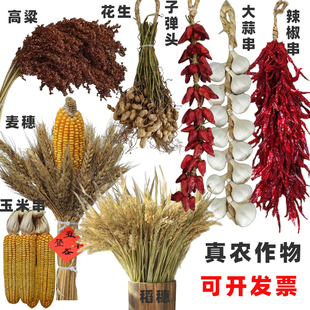 饰品 杂粮摆件五谷丰登挂饰大蒜真玉米红干辣椒串挂件端午节墙面装