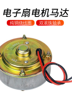 10寸电子扇电机，轴承轴铜线圈