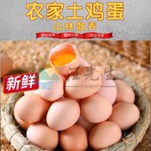 正宗农家散养竹林土鸡蛋新鲜纯千岛湖特产草鸡蛋自养柴鸡蛋笨鸡蛋