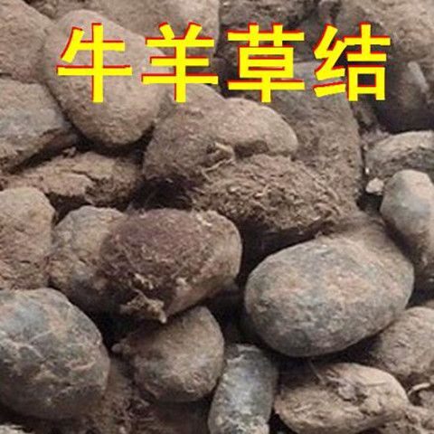 材 牛羊草结1kg西格格 羊草结 羊胲子真货