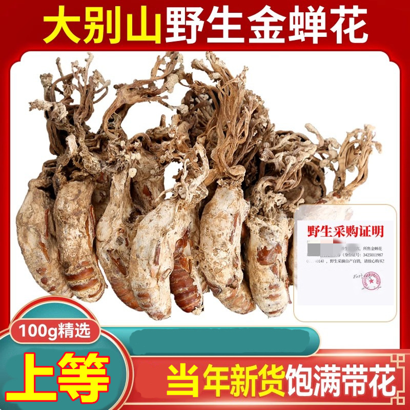 【真野生】金蝉花精选蝉花虫草孢子粉正品金婵花金蚕花知了花禅花