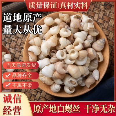 热卖野山白螺丝500克包邮新货白螺蛳壳 白螺壳 螺蛳壳 白螺丝粉