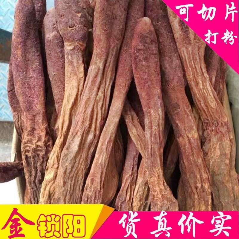 新鲜内蒙阿拉善正宗金锁阳搭配肉苁蓉羊藿山茱萸川断覆盆子川断