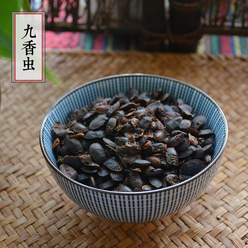 九香虫 材干品新货 臭板虫 屁巴虫 打屁虫 黑兜虫 瓜黑蝽真货