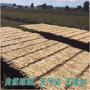 热卖沙参内蒙古赤峰产地新货无硫熏整根沙参搭配麦冬玉竹原色煲汤