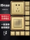 阿尔诺威腾欧洲金暗装 全铜覆古开关面板一开五孔插座酒店别墅家装