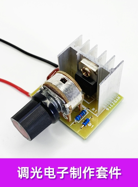 XLAN diy红外线理疗灯调温调光电烤灯治疗器调光板风扇调速带开关