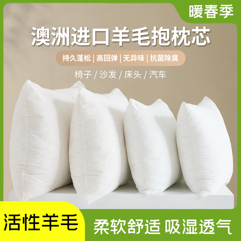 澳洲羊毛抱枕芯内胆沙发抱枕客厅靠垫芯大靠背垫办公护腰床头靠垫