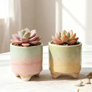 直筒拇指盆多肉花盆陶瓷迷你拇指盆创意个性肉肉控型清新组合