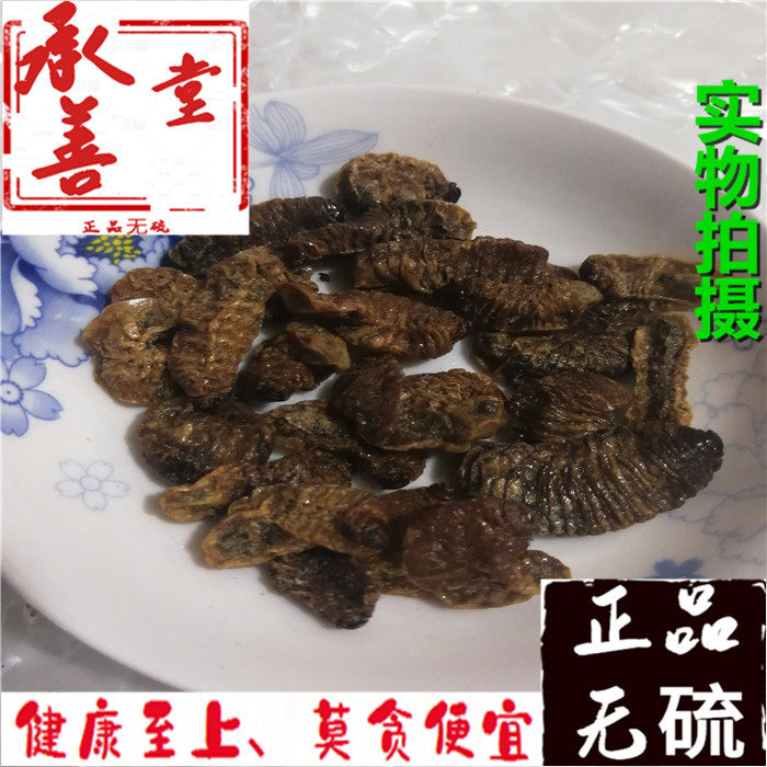中药材蛴螬 鸡母虫 地狗子 鸡婆虫 土蚕 老母虫 白时虫 100克包邮