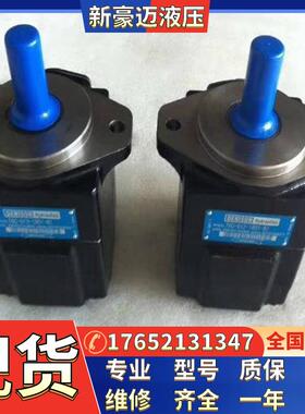 DENISON派克丹尼逊液压油泵注塑机叶片泵T7EDS-042-B12-1R00-A1M0