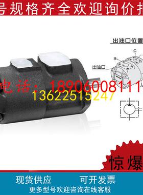 ANSON安颂IVP31-35-12-F-R-1BB-10叶片泵IVP31-17-3-R-R-86BC-10