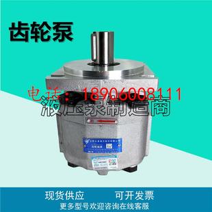 100 BFφR液压油泵 BFHL BFP齿轮泵CBKP63 长源CBKP32