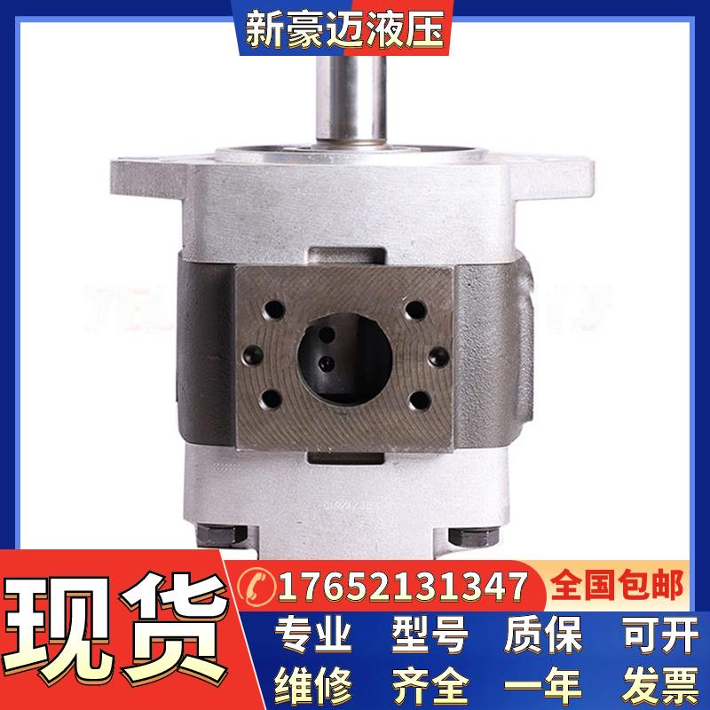 德国福伊特齿轮泵IPVP6油泵IPVP5/IPVP7/IPVP4/IPVP3/IPV 6液压泵