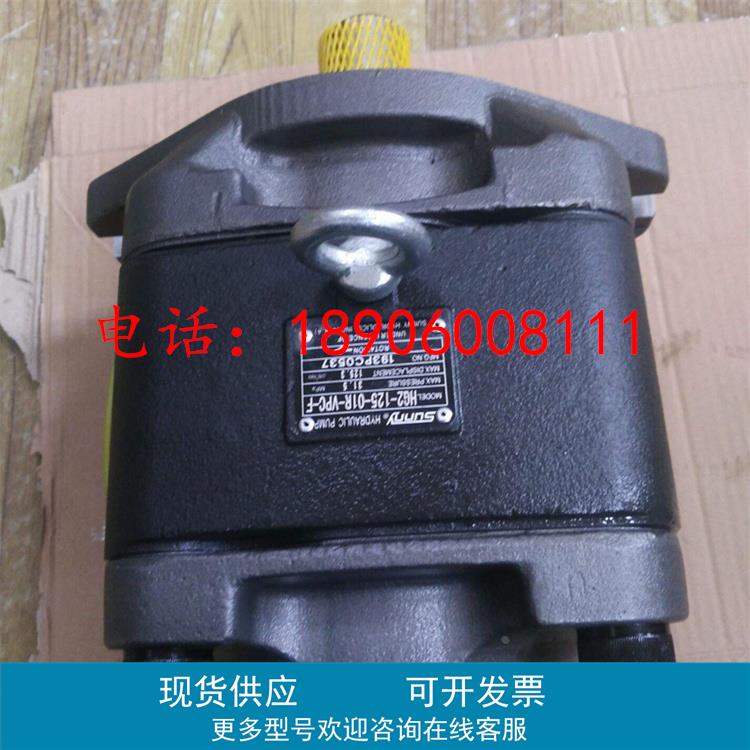 美国SUNNY HG2-100-01R-VPC-G 齿轮泵 HG2-100-01R-VSC-G 包邮