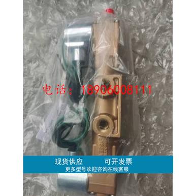 VERSA电磁阀BSI-3309-P-316-25BR-43E BIA-3309-316-301ES-43E